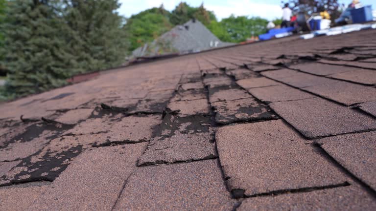 Best Metal Roofing Installation  in Lake Placid, FL